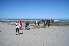 Memorial-run-2010-208