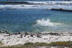 IMG_1965