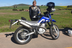 08_Brass_Monkey_Citrisdal