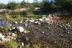 DSCF0810