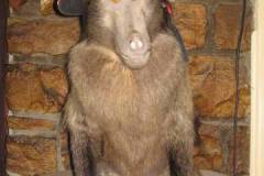 Megans-Karoo-Run-2011-058