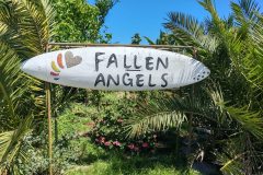 Fallen Angles Pet rescue 12 Oct 25