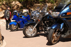 A-chick-3-bikes-and-a-tractor